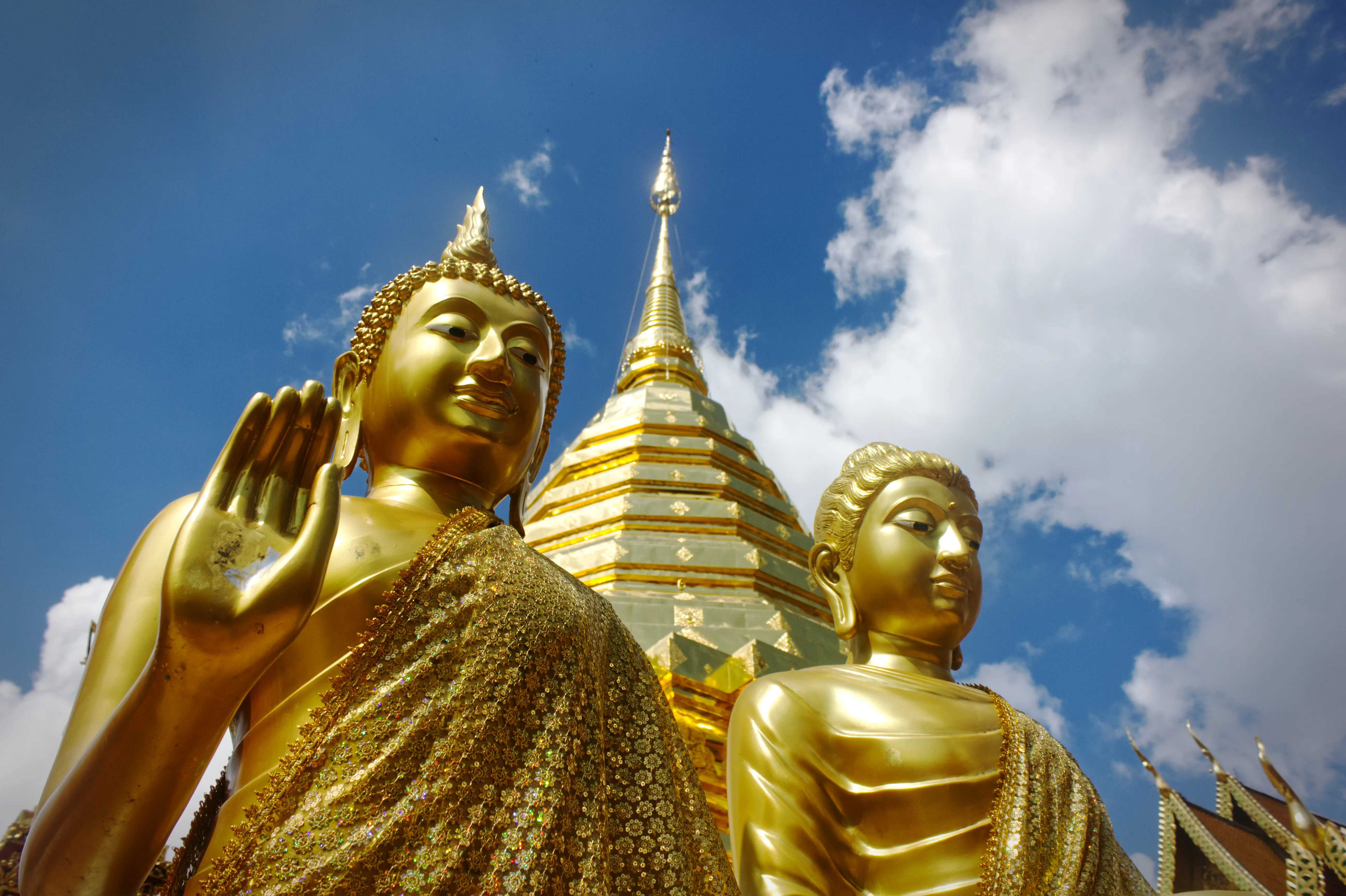 Golden Buddhas