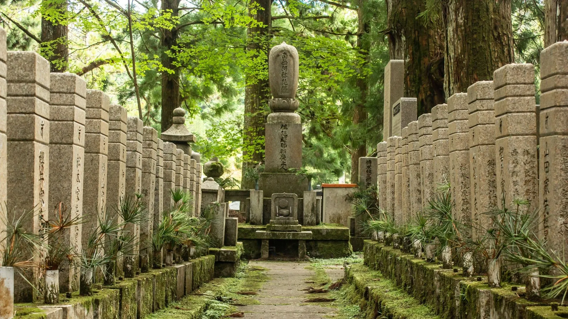 Japanese cemetery