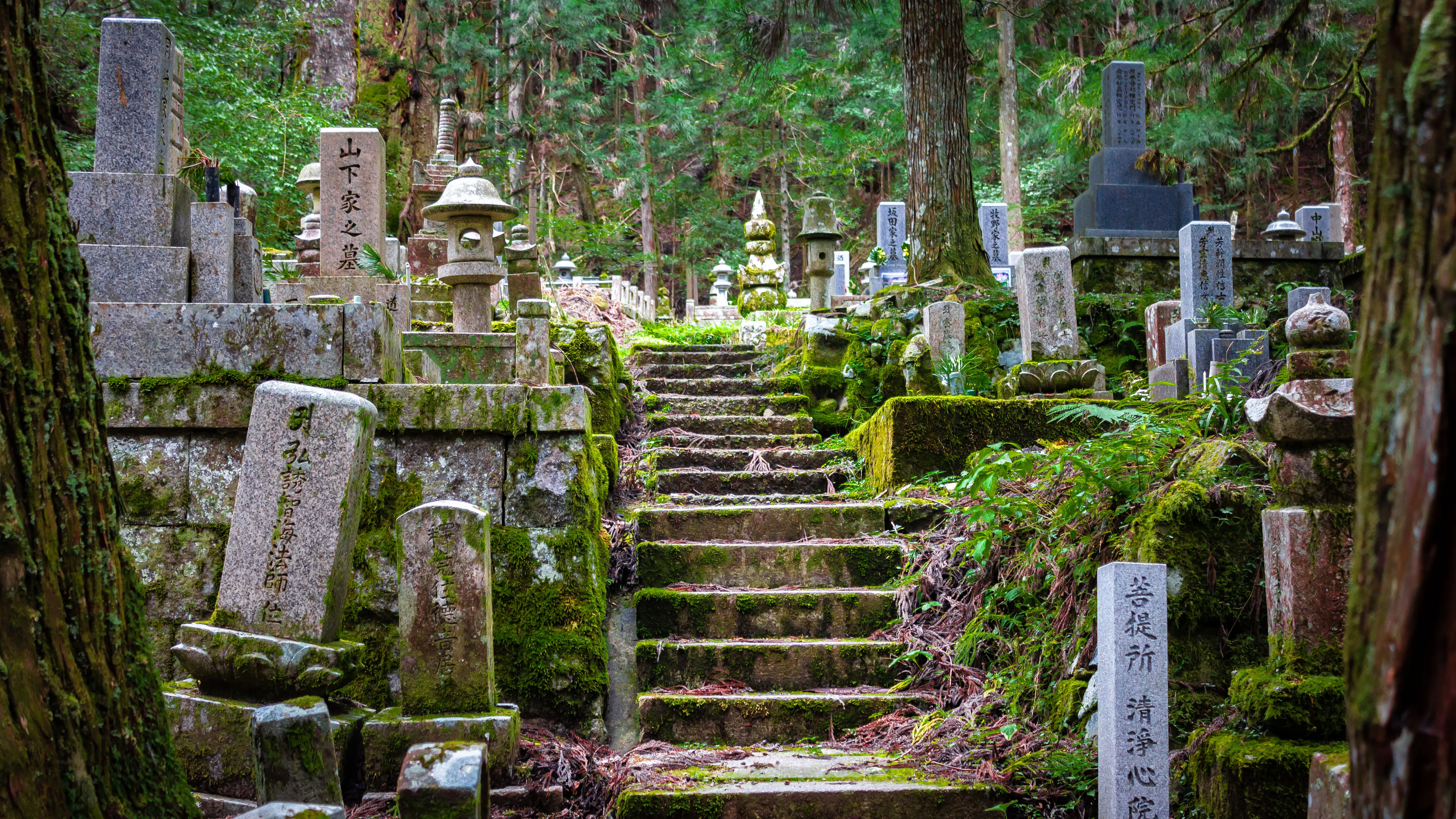 Japanese cemetery