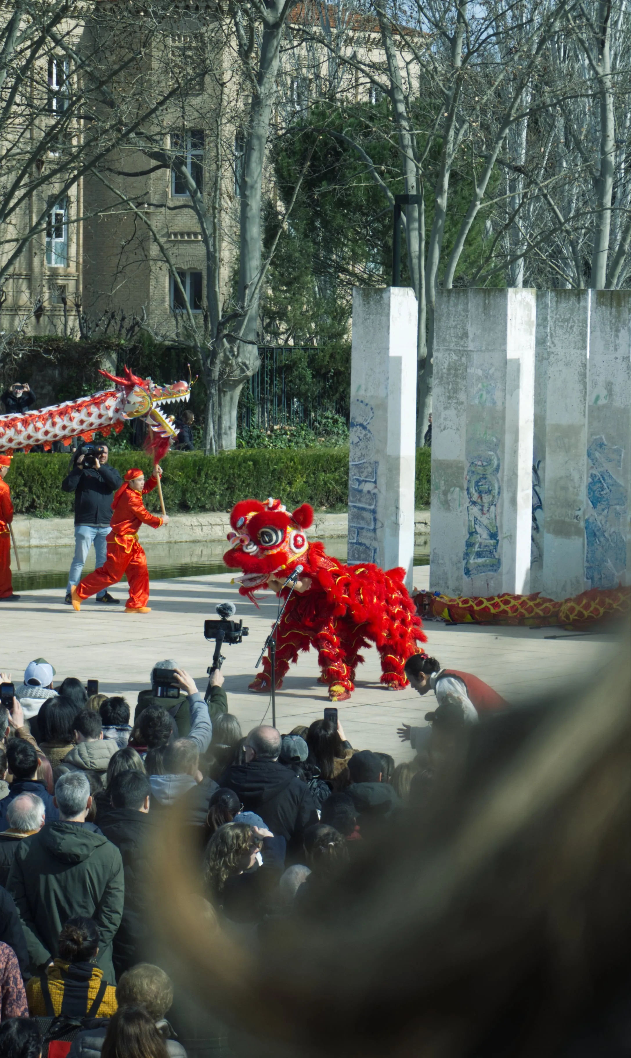 Chinese new year