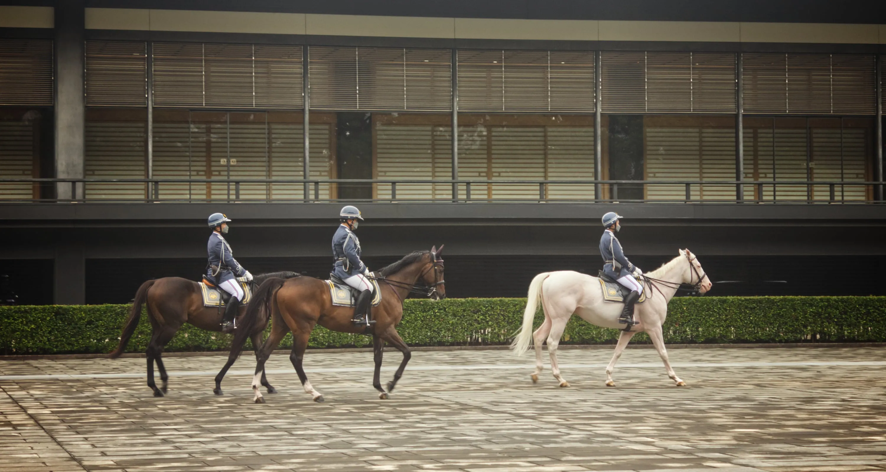 Royal palace mounted guard