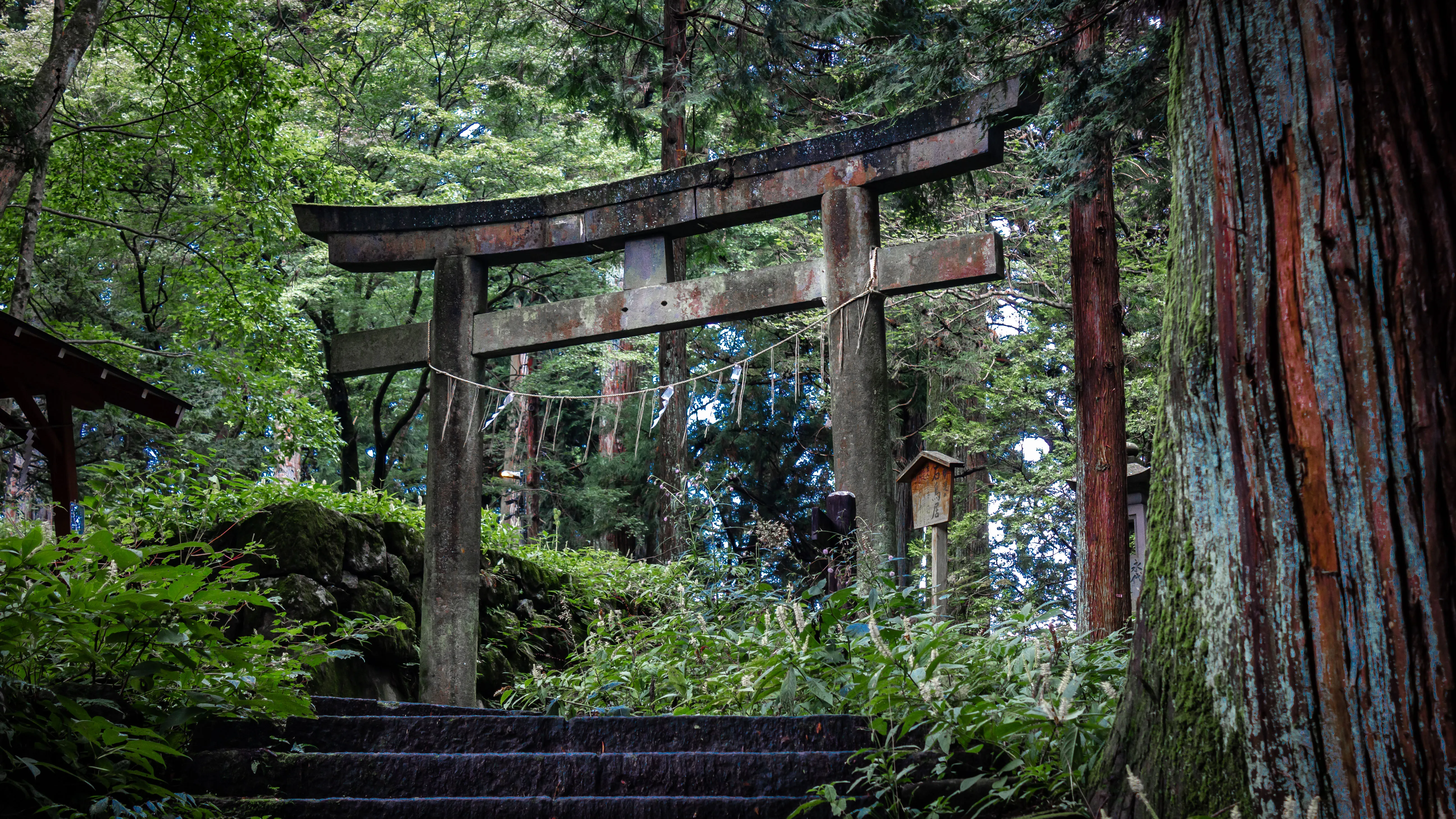 Ancient Torii gate